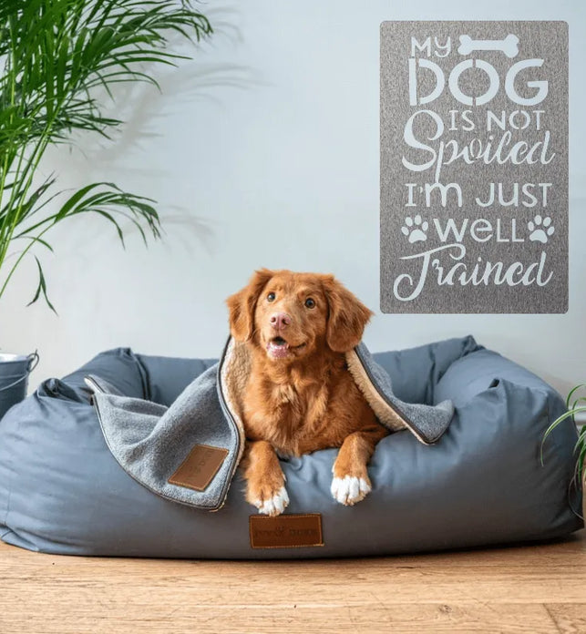 My Dog is not Spoiled, I’m Well Trained Pet Home Decor 